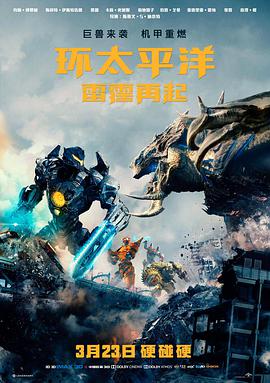 山与海的回声电影封面